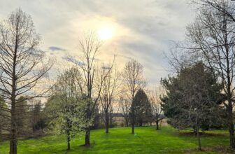 The Little Issues E-newsletter #465 – Life, laughter, and many nice meals!