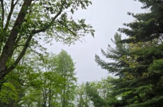 The Little Issues E-newsletter #469 – Life, laughter, and plenty of nice meals!