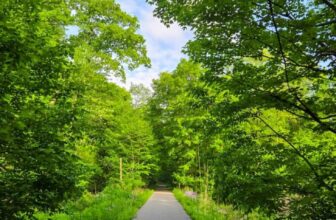 The Little Issues Publication #471 – Life, laughter, and many nice meals!