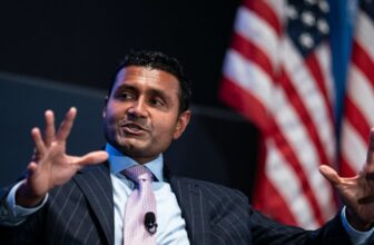 Palantir Goons Reportedly Need to Remake Hollywood Right into a Libertarian Dream Manufacturing unit