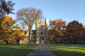 AI Is Crushing the Early Profession Job Market, Stanford Research Finds