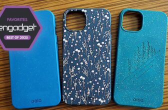 One of the best eco-friendly telephone instances for 2025