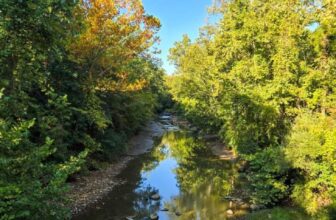 The Little Issues E-newsletter #487 – Life, laughter, and many nice meals!