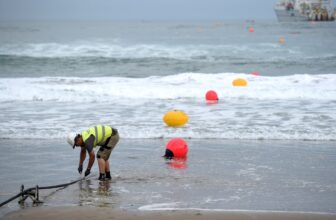 Web Entry within the Center East Disrupted After Undersea Cables Are Mysteriously Minimize