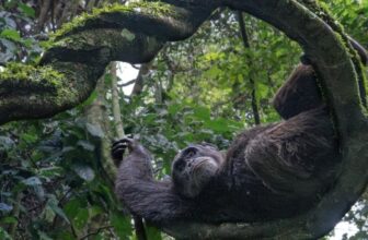 Sit Again and Benefit from the Profitable Photographs From This Yr’s Nature inFocus Images Awards