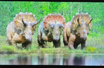 This LG TV is massive on vivid colours however lacks particulars at midnight